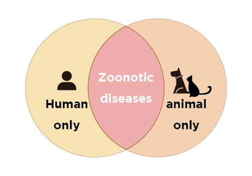 Zoonotic diseases illust