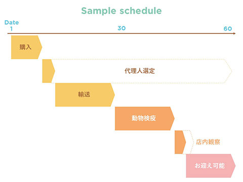 schedule from japan